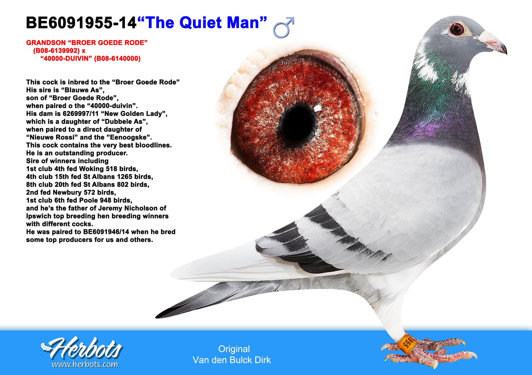 pigeon: undefined