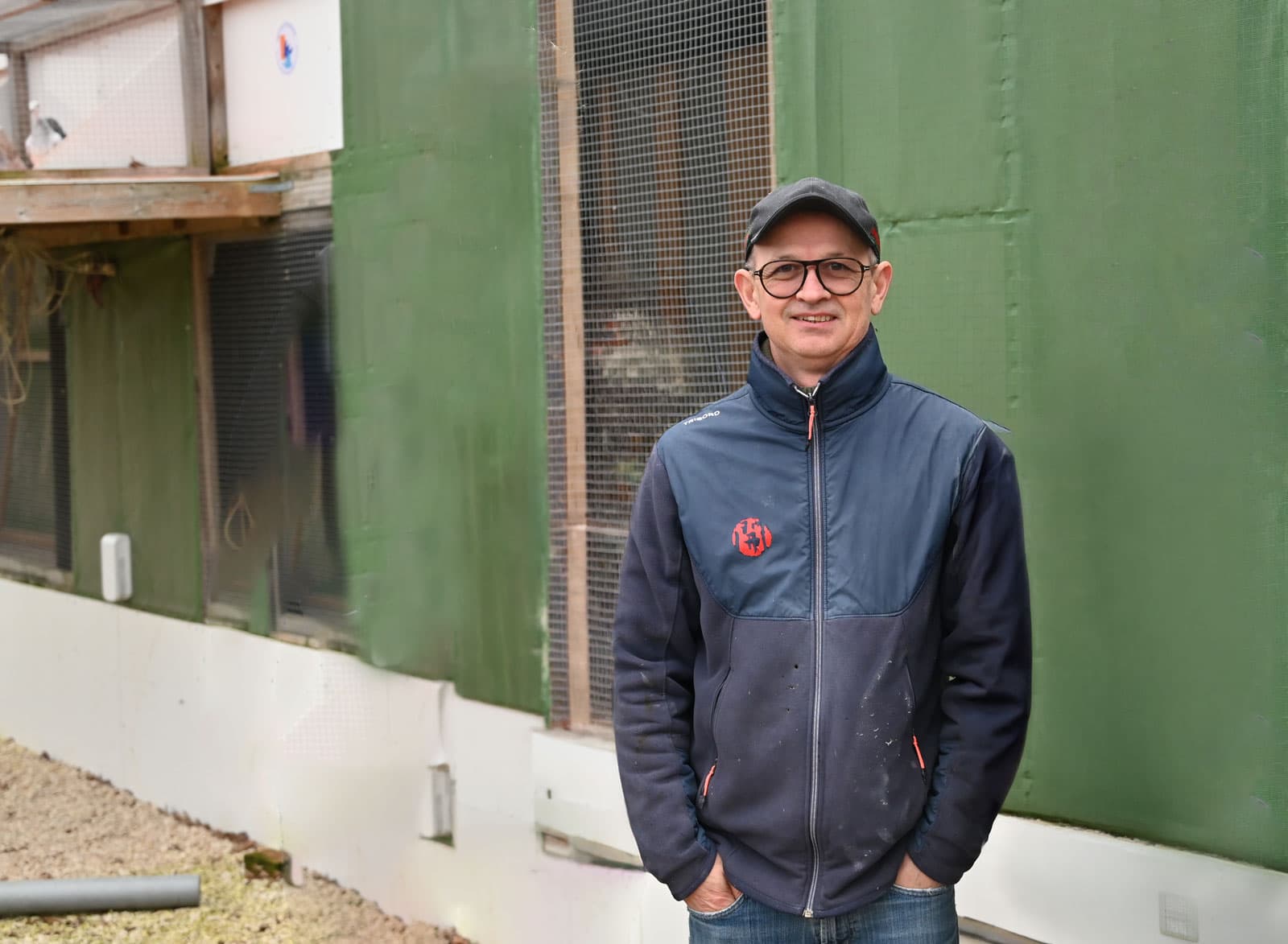 Pigeon Bids nieuws: de kracht van de Kris Cleirbaut duiven