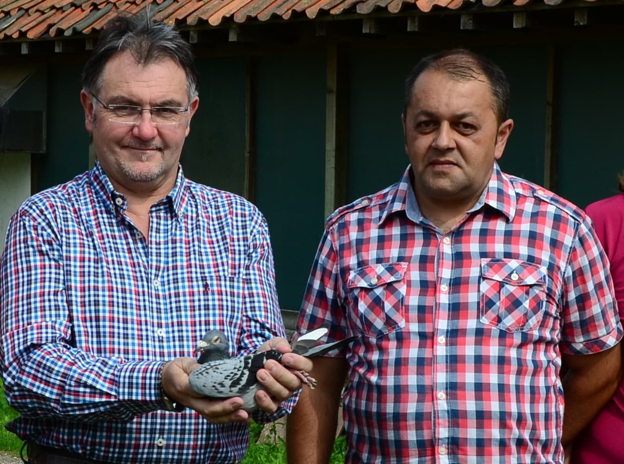 Pigeon Bids Yves Vandepoel ( Leo Heremans Collection )