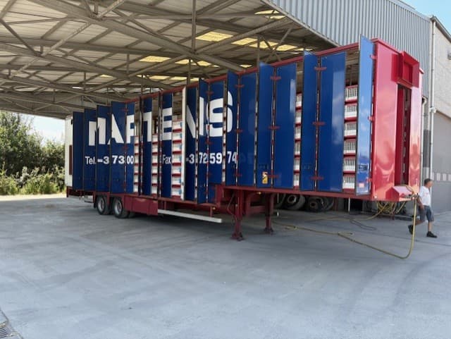 Aantal duiven Barcelona + extra maatregelen extreme hitte