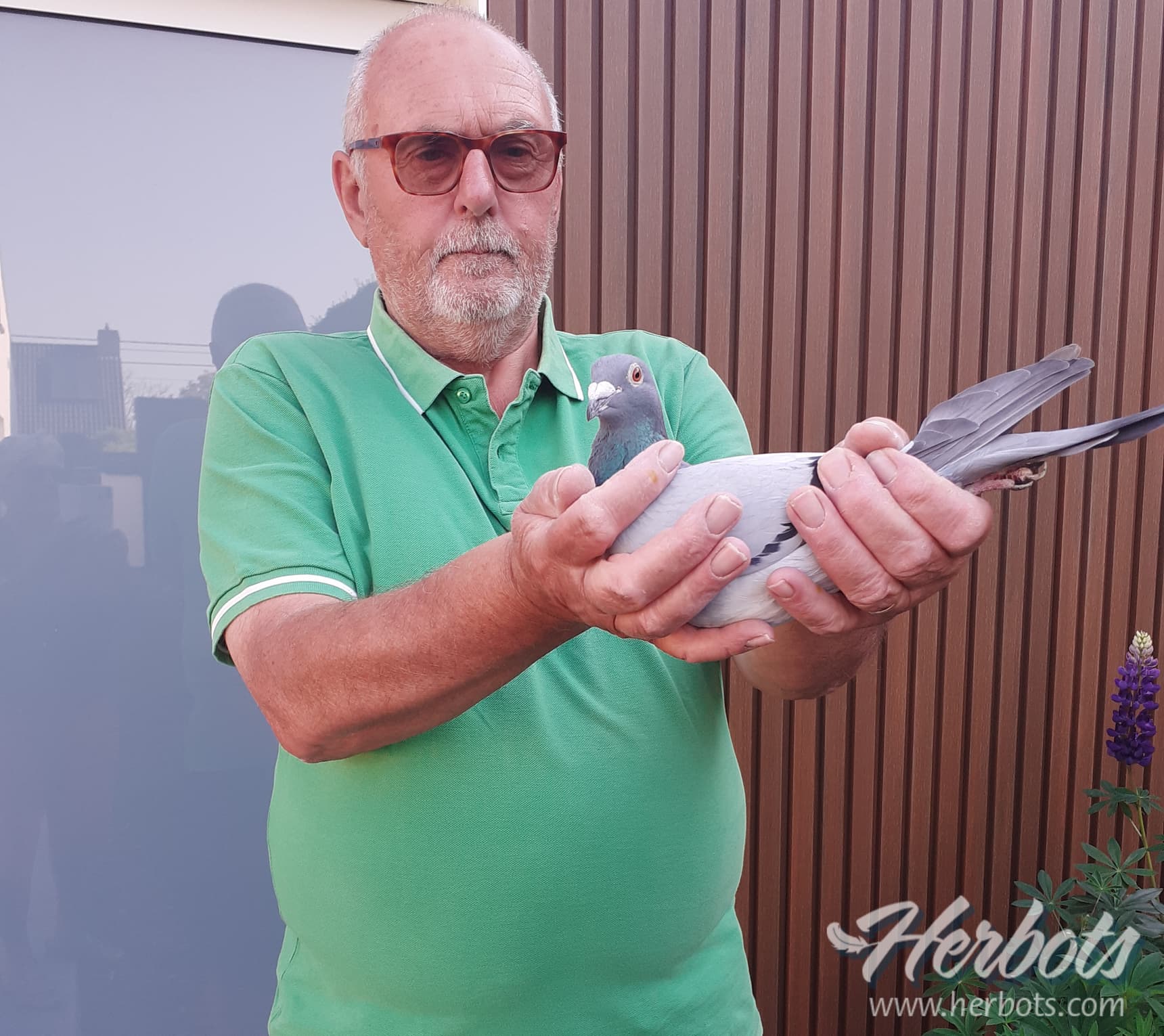 Boudewijn Jonckheere (Torhout) wint 1ste Prov. Tulle West-Vlaanderen tegen 1.604 oude duiven