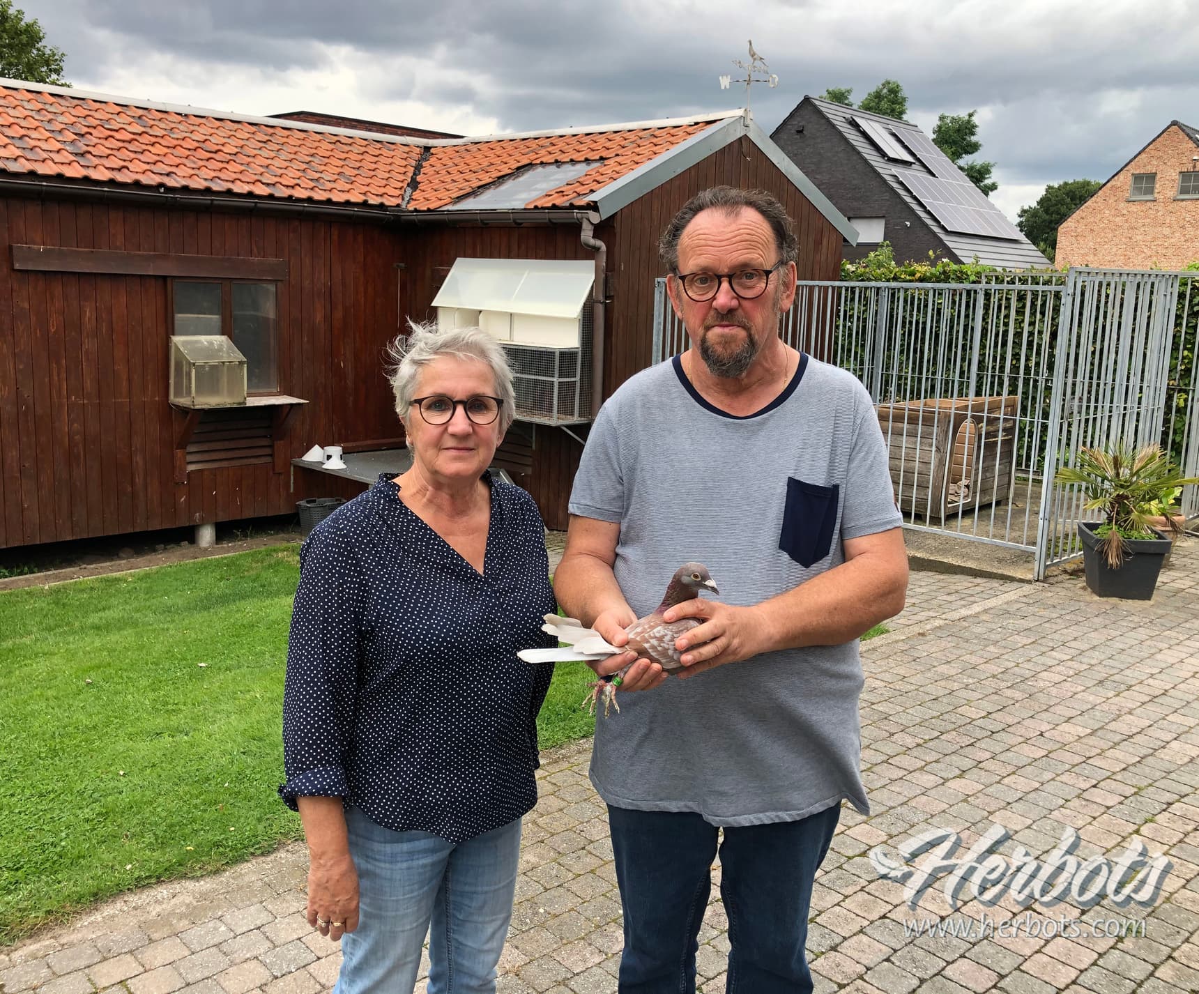 Colemont Luc - Genk - 1st National Perpignan 3,901 old birds