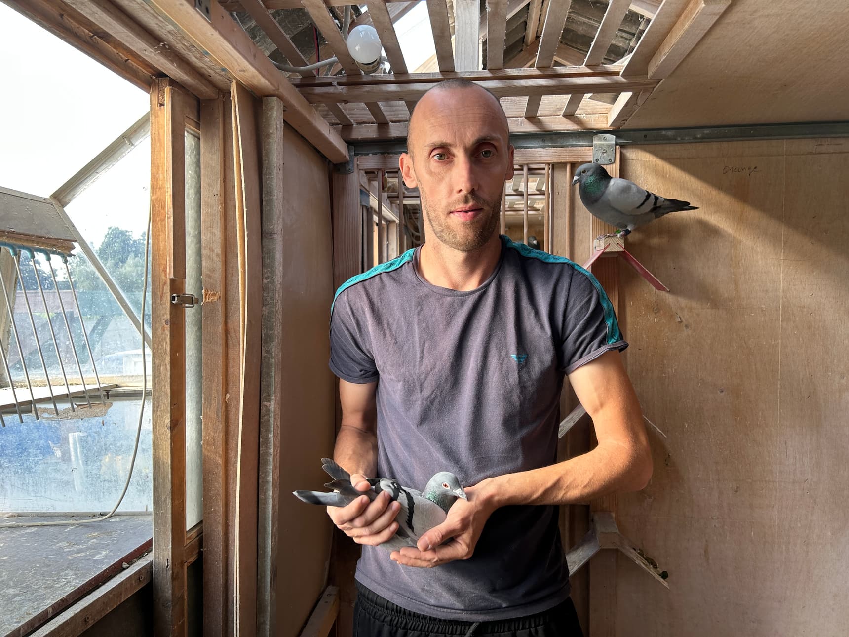 Laurent Colsoulle de Baisieux