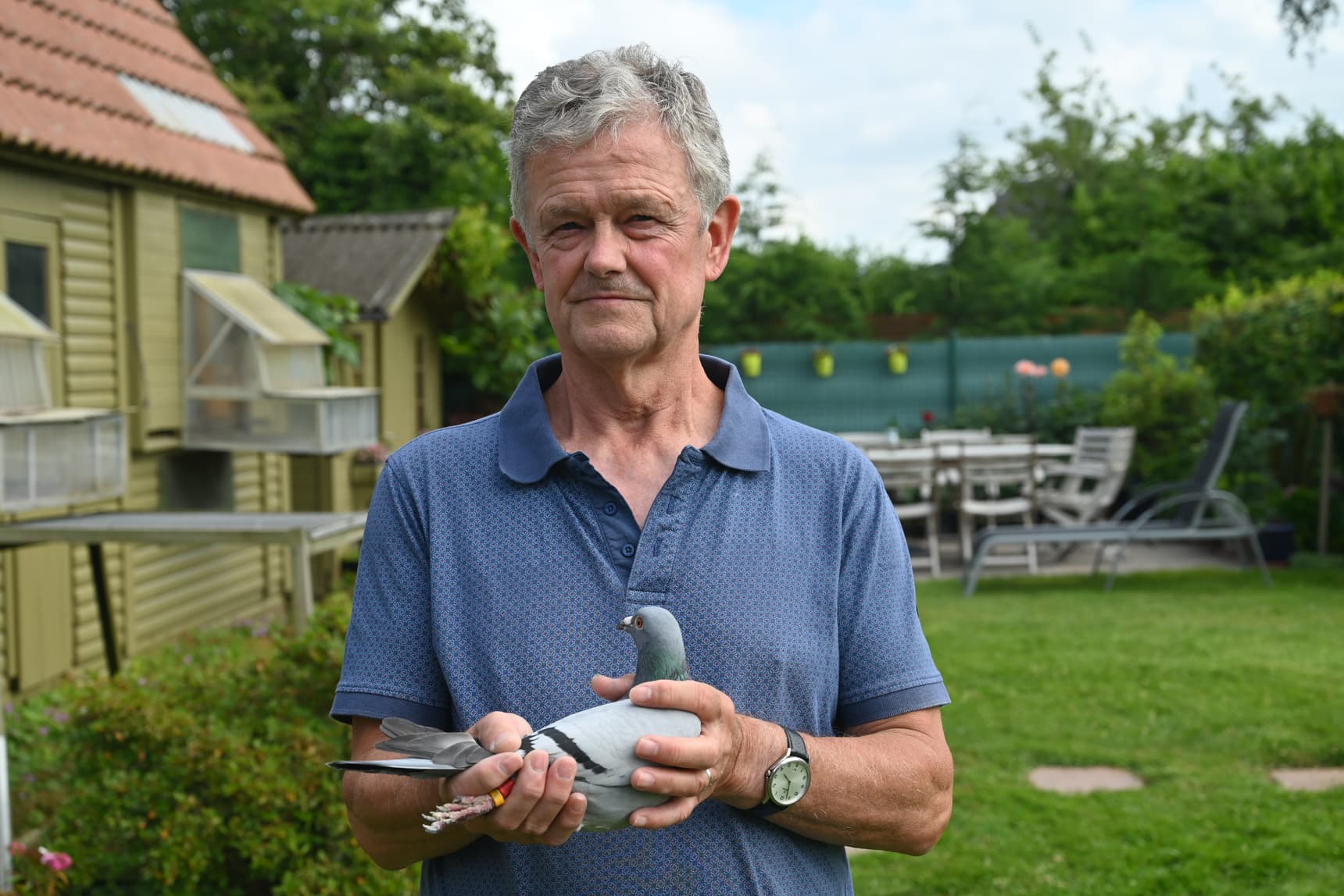 Cosijn Robrecht – Pollare : 1 Provincial – 2ième Nat. Argenton 8.867 vieux