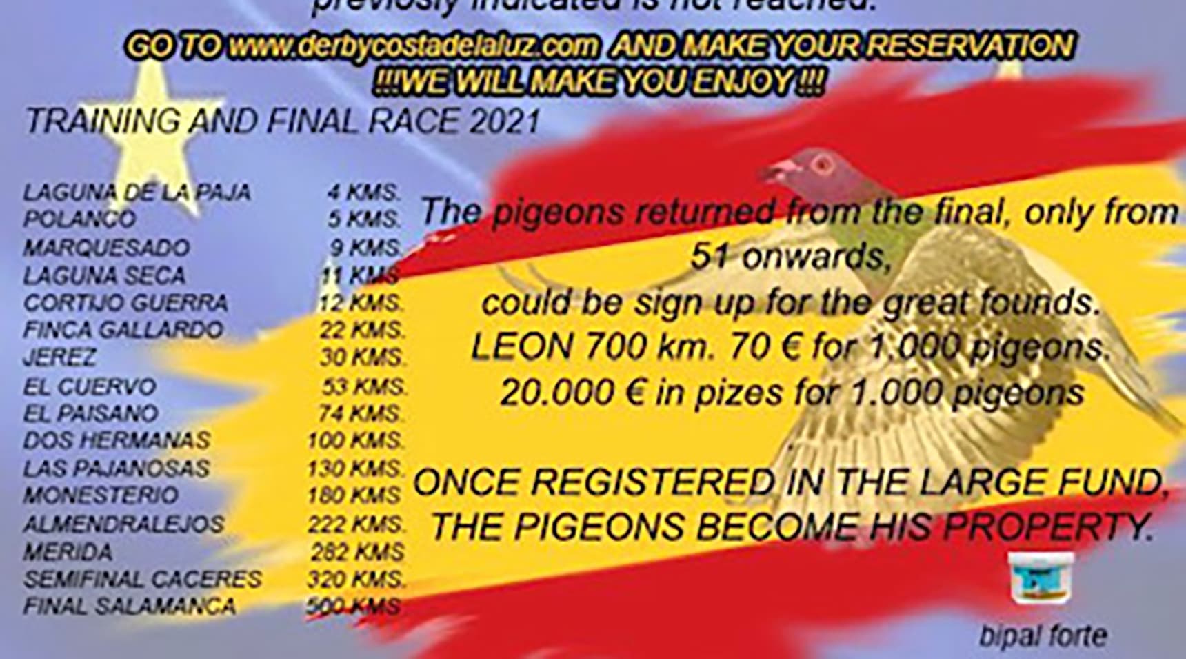 One loft race Costa de la Luz 2021