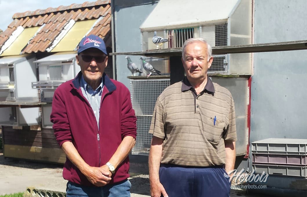 Het succesverhaal van de Ad Schaerlaeckens duiven.