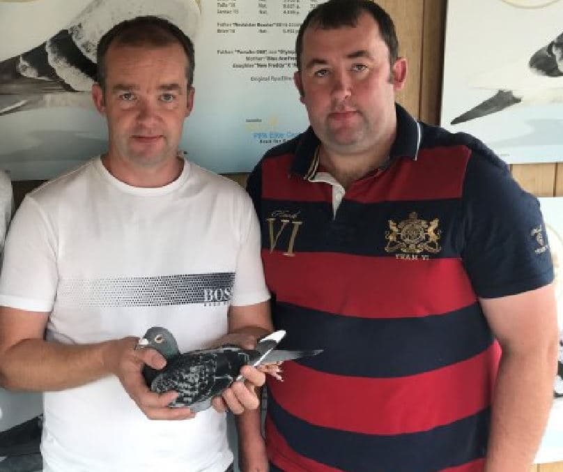 Top performances for Gordon Lofts