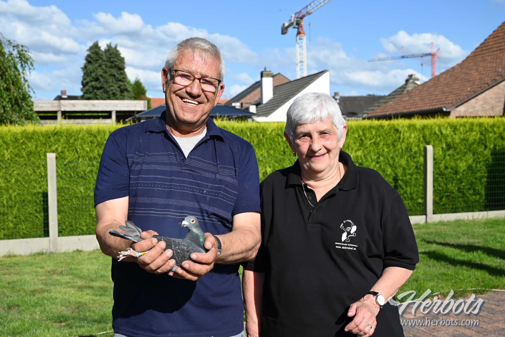 Goossens Jos - Olmen: 1e Nationaal Limoges 17.356 oude duiven