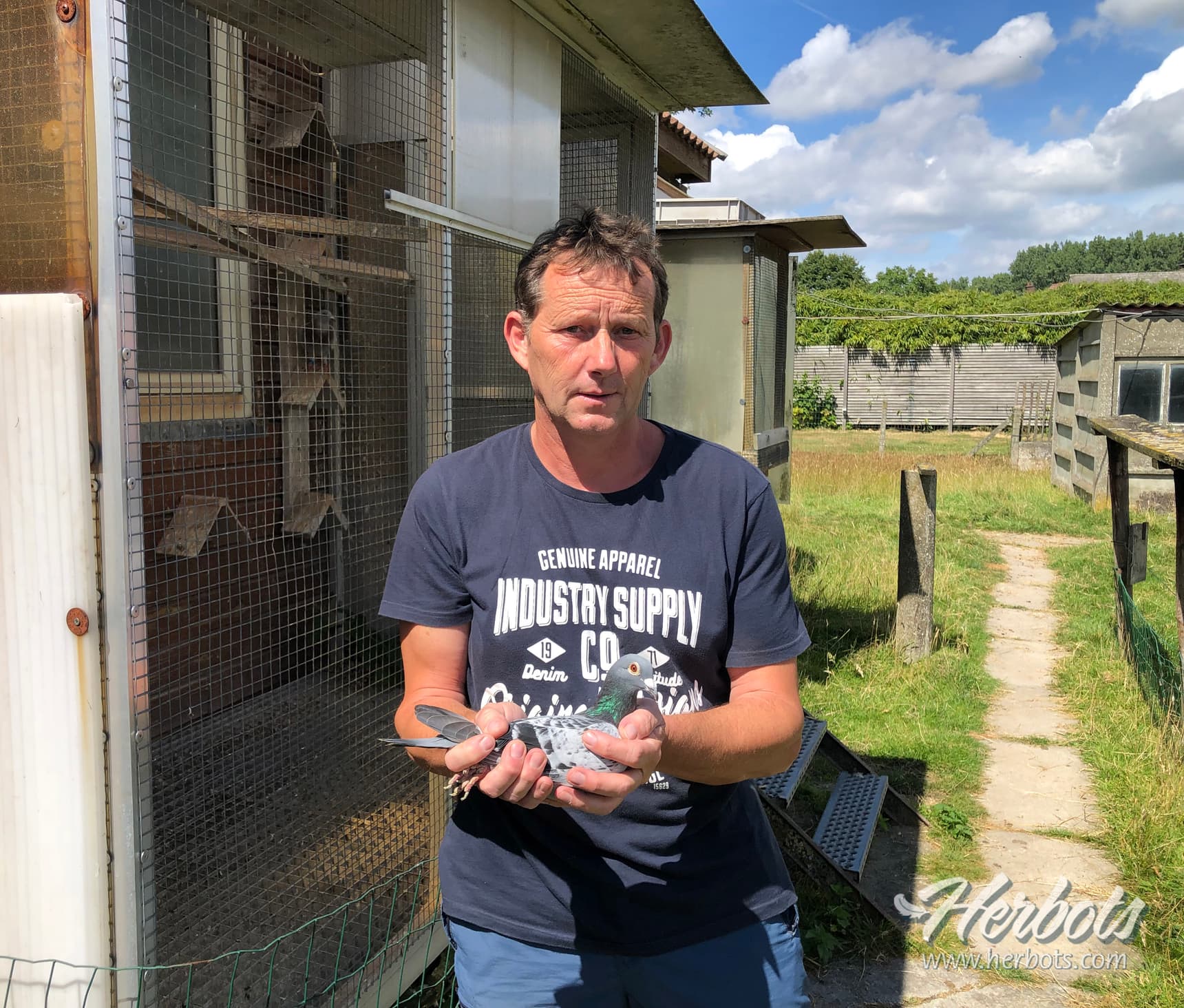 Kamiel Hazaert from Neerijse wins 1st Provincial Agen 856 yearlings