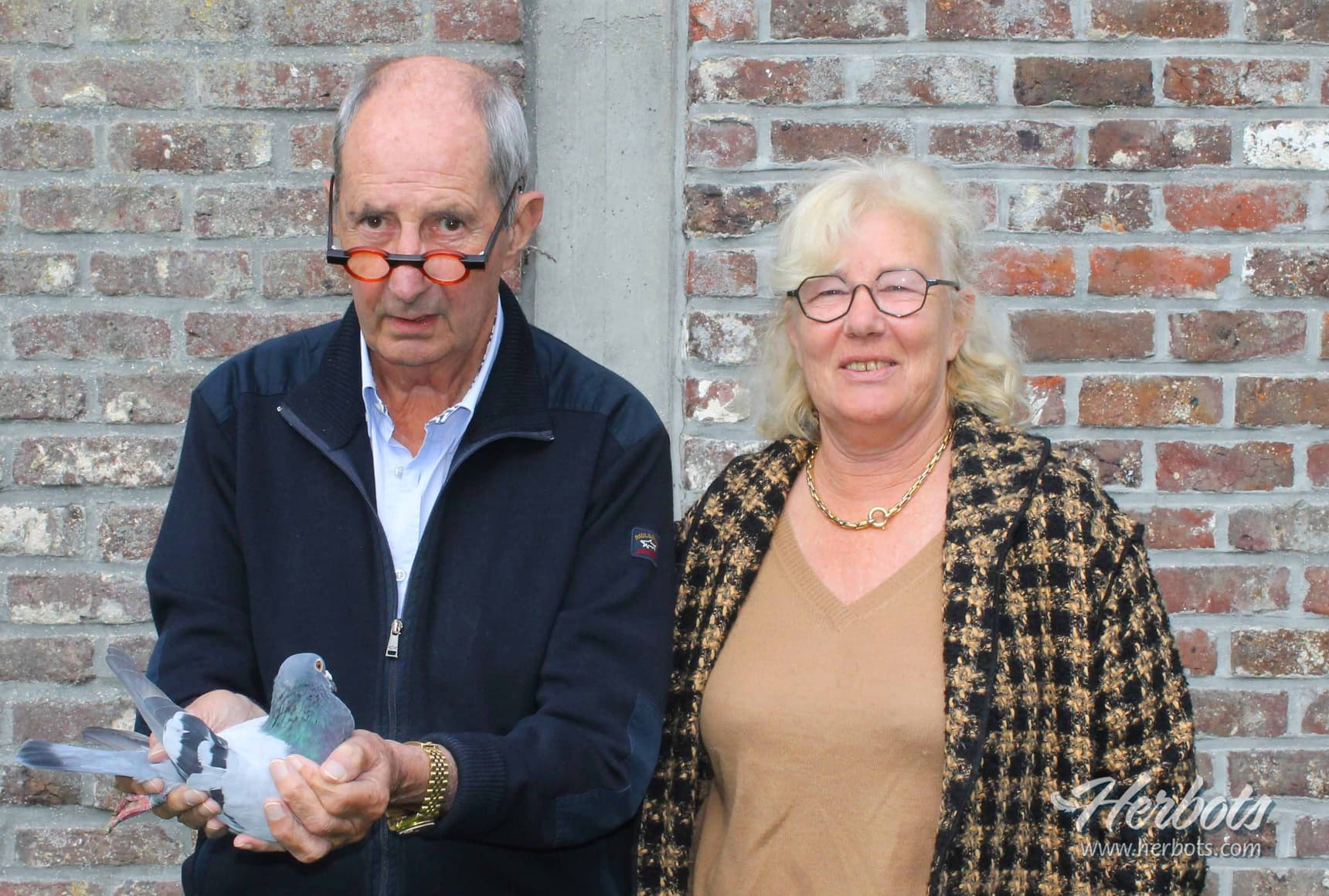 Daniël Aerens from Drongen wins 1st International Ace Pigeon Barcelona 2020-2023 with “Night Flyer”