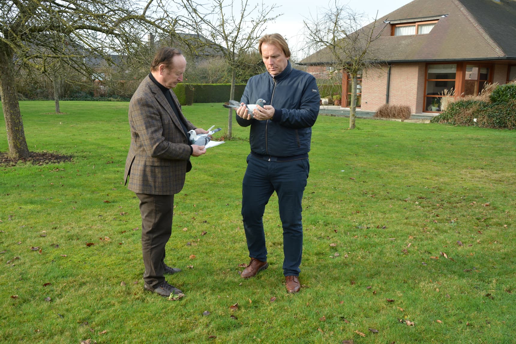 Platteeuw Kurt & Raf - Rumbeke 1st National ace All-round KBDB '22 old and yearling