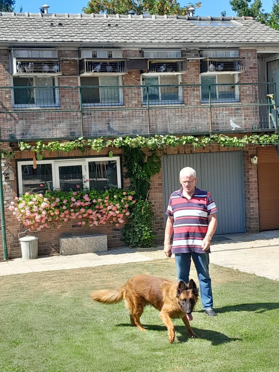 Topjaar voor Harrie Kusters uit Spaubeek (Zuid Limburg) Afd. 4