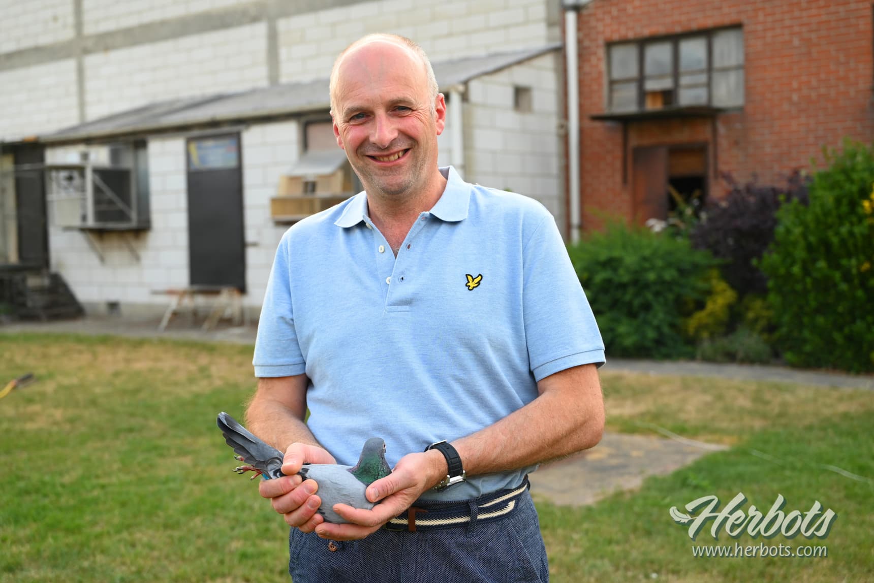 Lefebre Bernard - Zulte: 1st Nat. Souillac 4,637 yearbirds - fastest 9,113b.