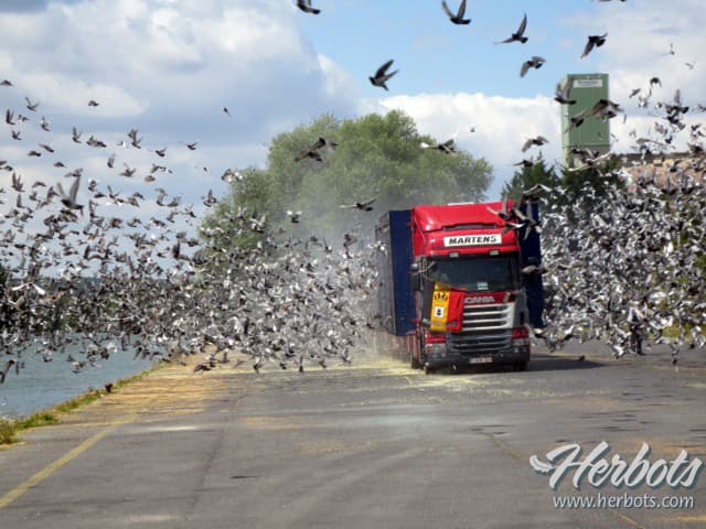 RFCB -Le calendrier national (PROVISOIRE) établi après une concertation approfondie et une analyse minutieuse