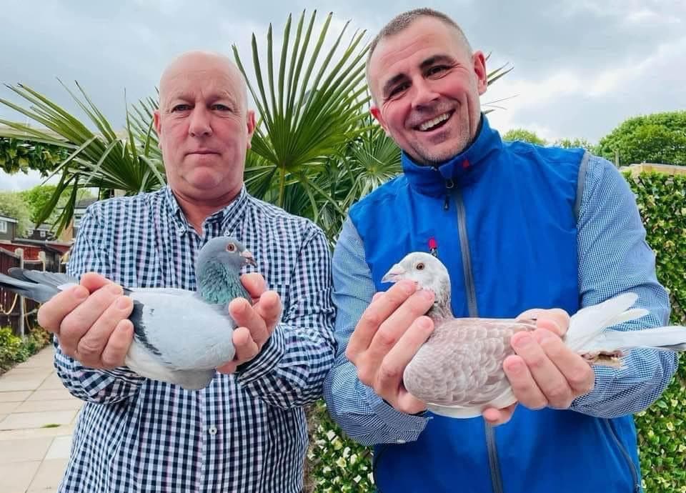 P&D Racing and Breeding Stud   Real KITTEL Sprint Dynasty on its own in UK