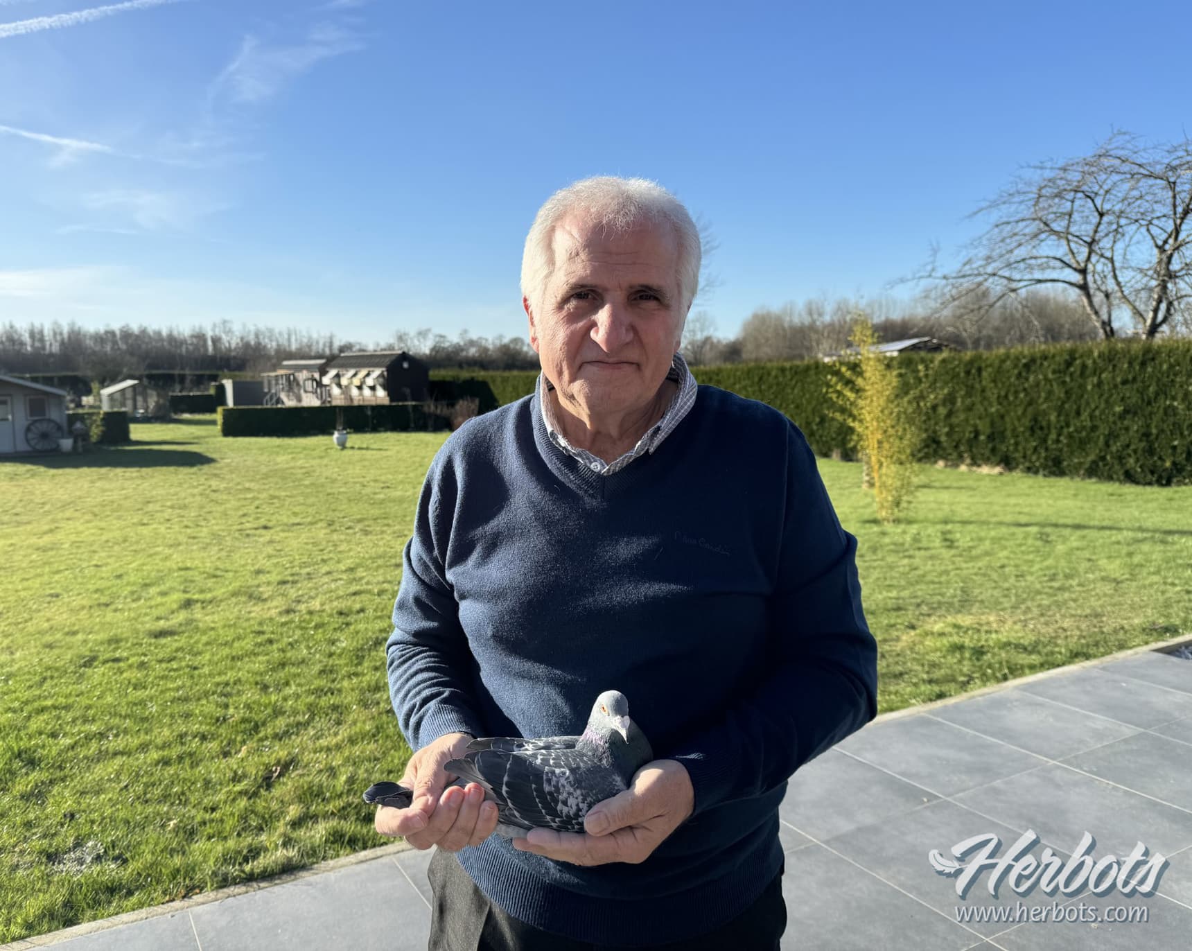 Paolo Chiachietta de Quaregnon brille avec plusieurs as pigeons nationaux au sprint