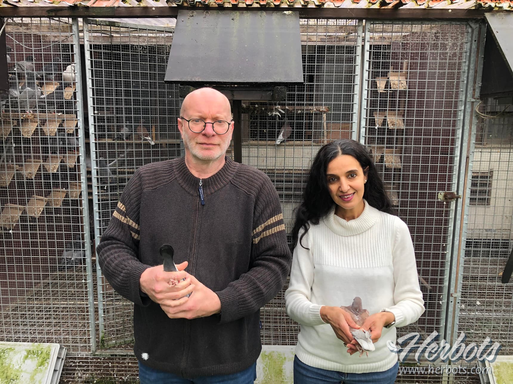 Peter Bours from Averbode also shines in the middle distance and extreme middle distance