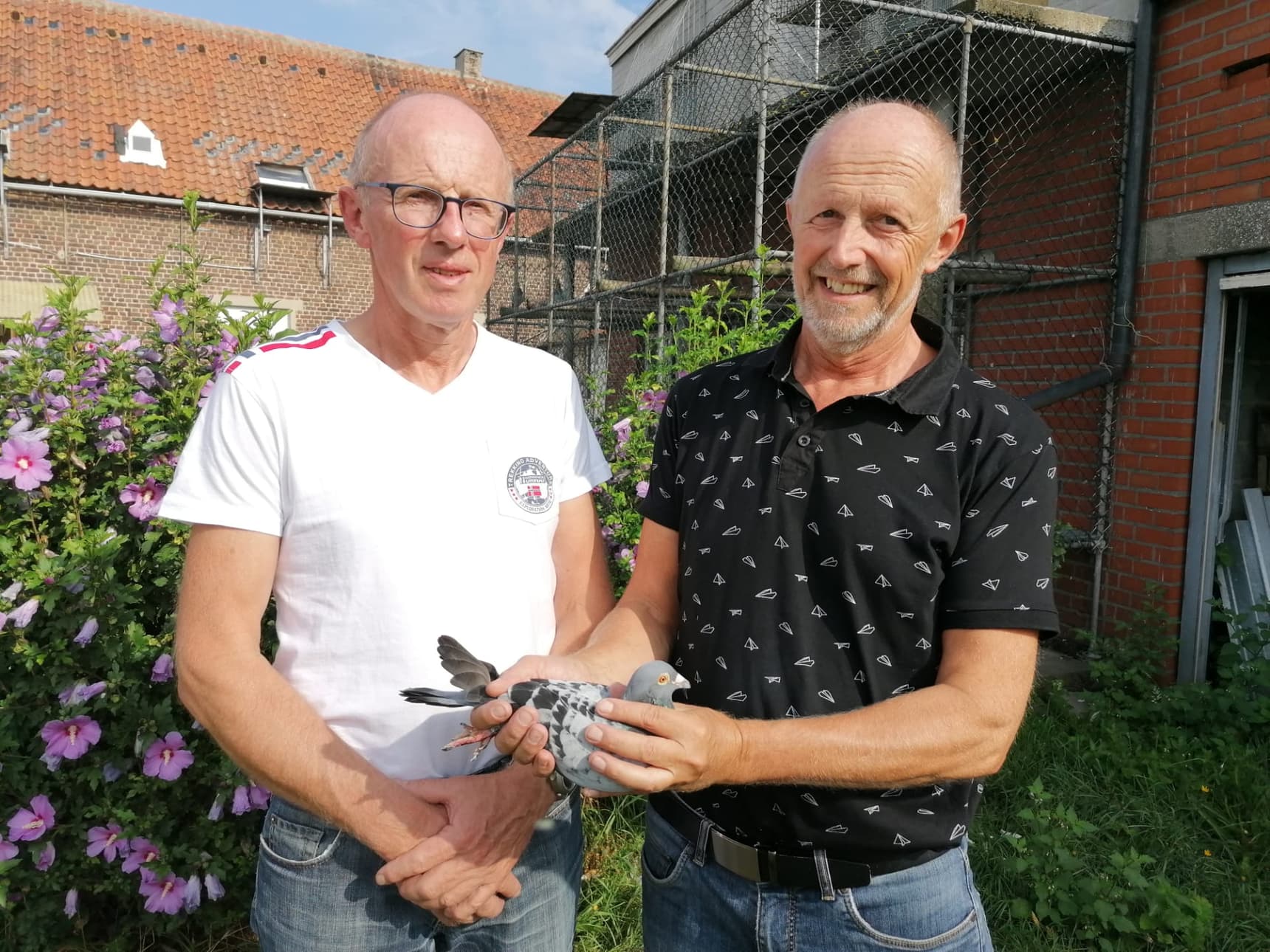 Reybroeck & Sons - Melsen: 1st Internat. Narbonne 7,973 old birds - fastest of 21,394b.