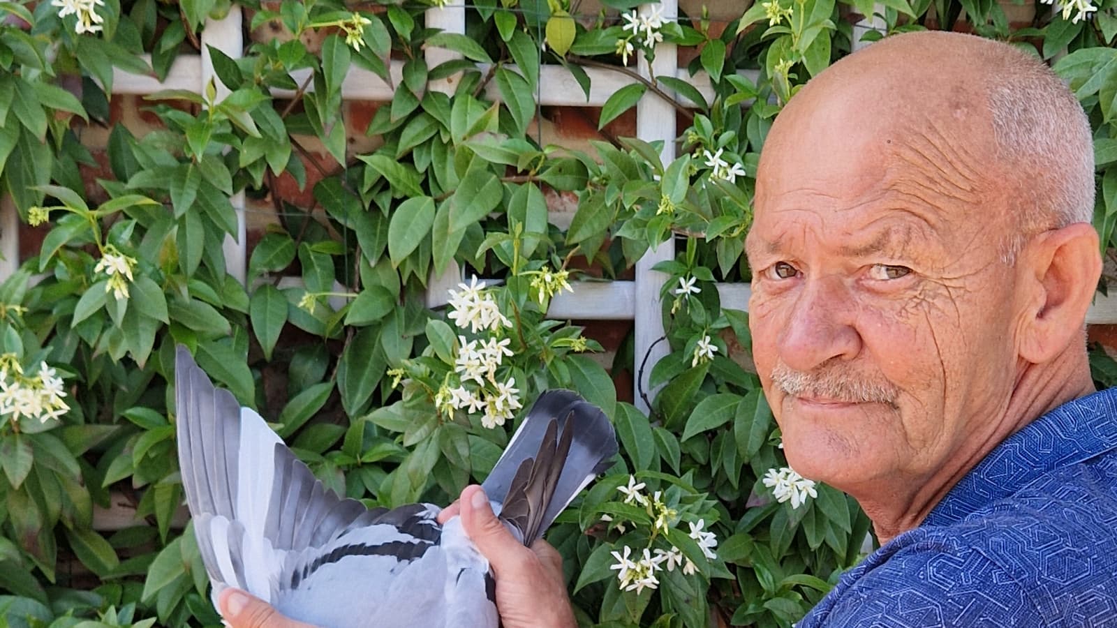 Roger Mertens frappe fort avec un doublé : 1er Prov. La Souterraine et 1er Prov. Valence II Limburg (vieux)