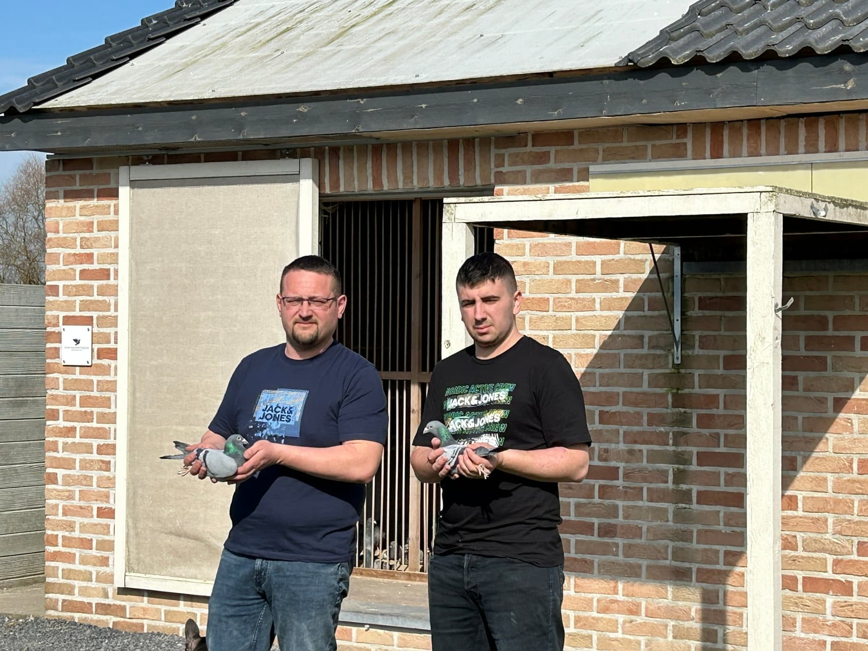 Tandem SAUDOYEZ Kévin & Noah uit Péruwelz behoren tot de top van de Belgische duivensport