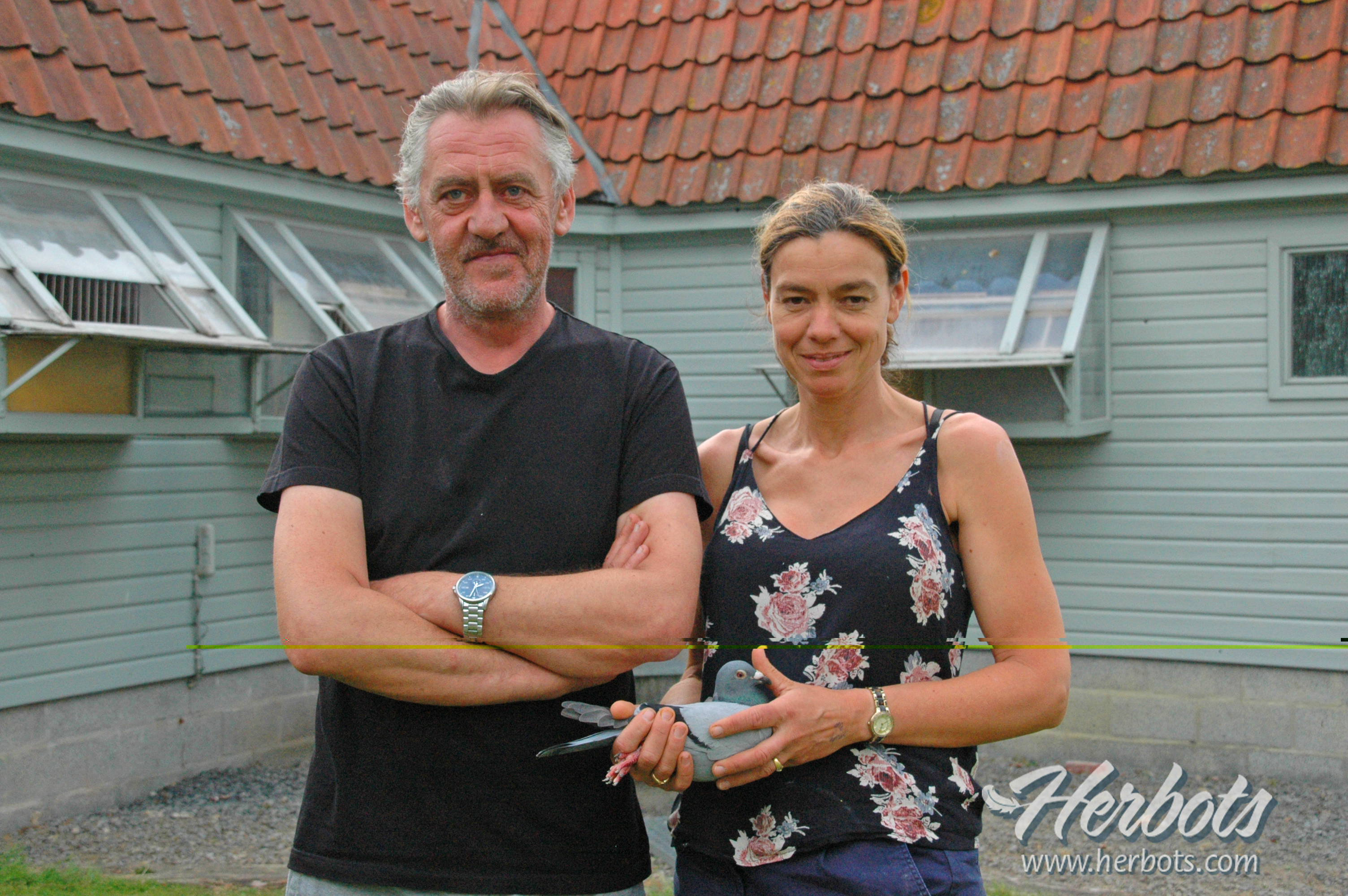 SIOEN LUC & HILDE - MOORSLEDE 1e NATIONAAL LIMOGES 9.689 oude duiven