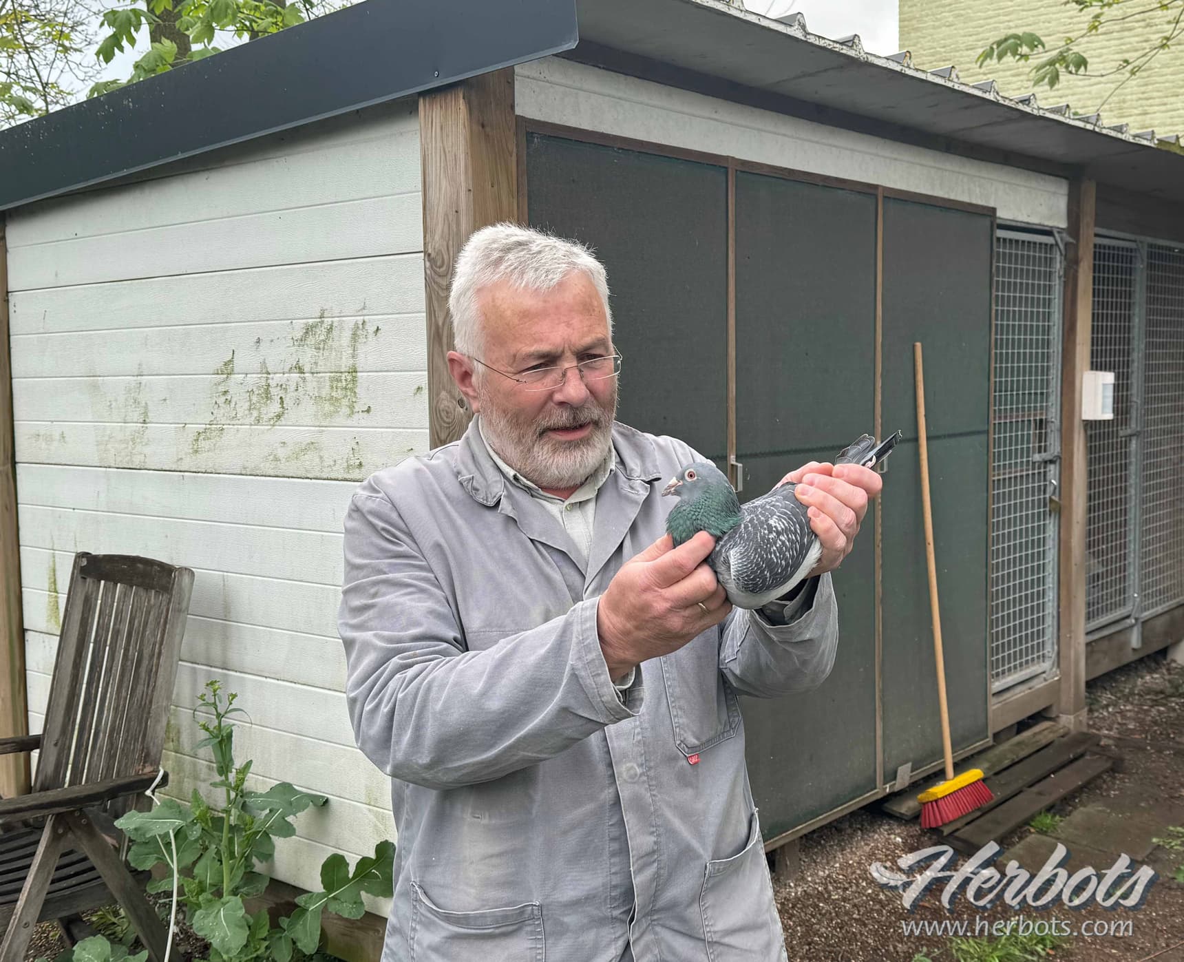 Dirk Van Den Bulck (Grobbendonk) wins 1st National Ace Pigeon sprint youngsters KBDB 2023