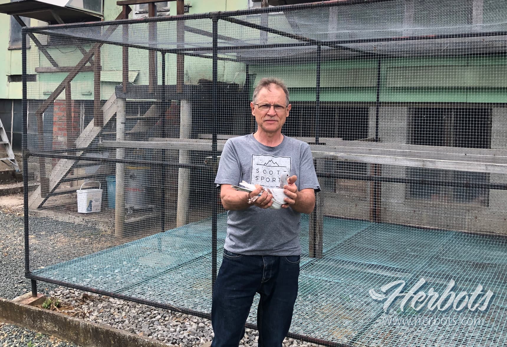 Pigeon Bids Kristian Vrebos Part 1