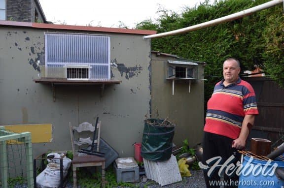 BOURDEAUD'HUI-BRACKE : WAREGEM 1st NATIONAL AGEN 5,140 YEARBIRDS 2017