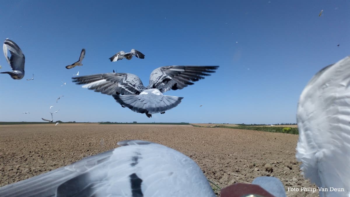 FONDCLUB DENDERSTREEK KAMPIOENSCHAPPEN 2023