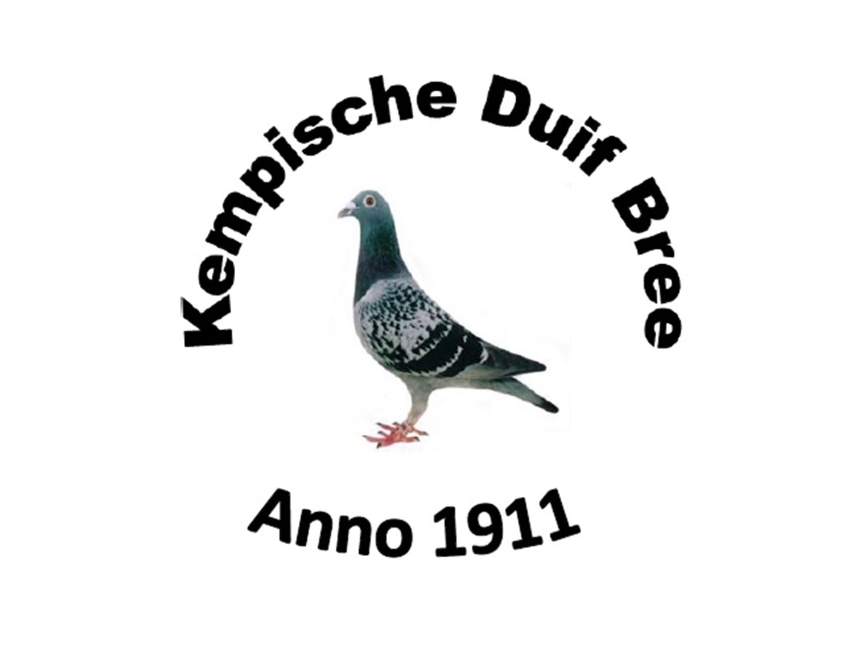 GROOT KEMPISCH KAMPIOENENFEEST - KEMPISCHE DUIF BREE op 25.01.2025