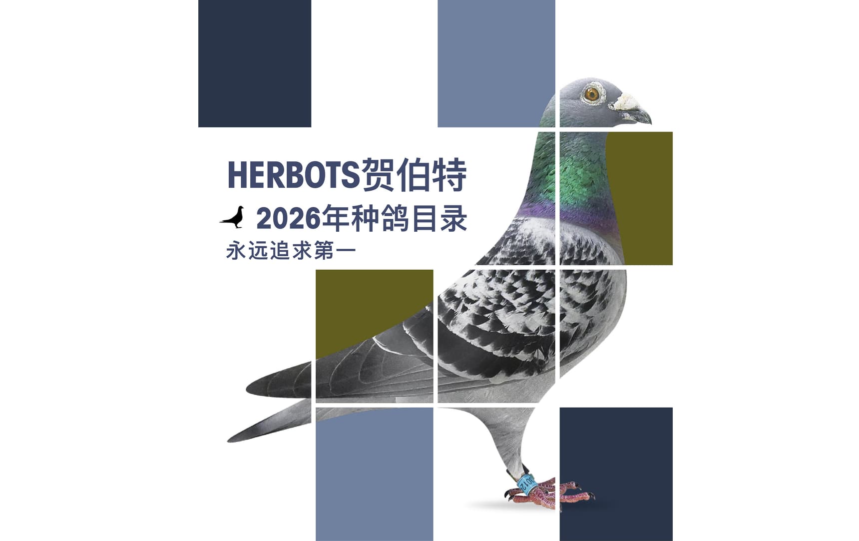 HERBOTS贺伯特2026年种鸽目录