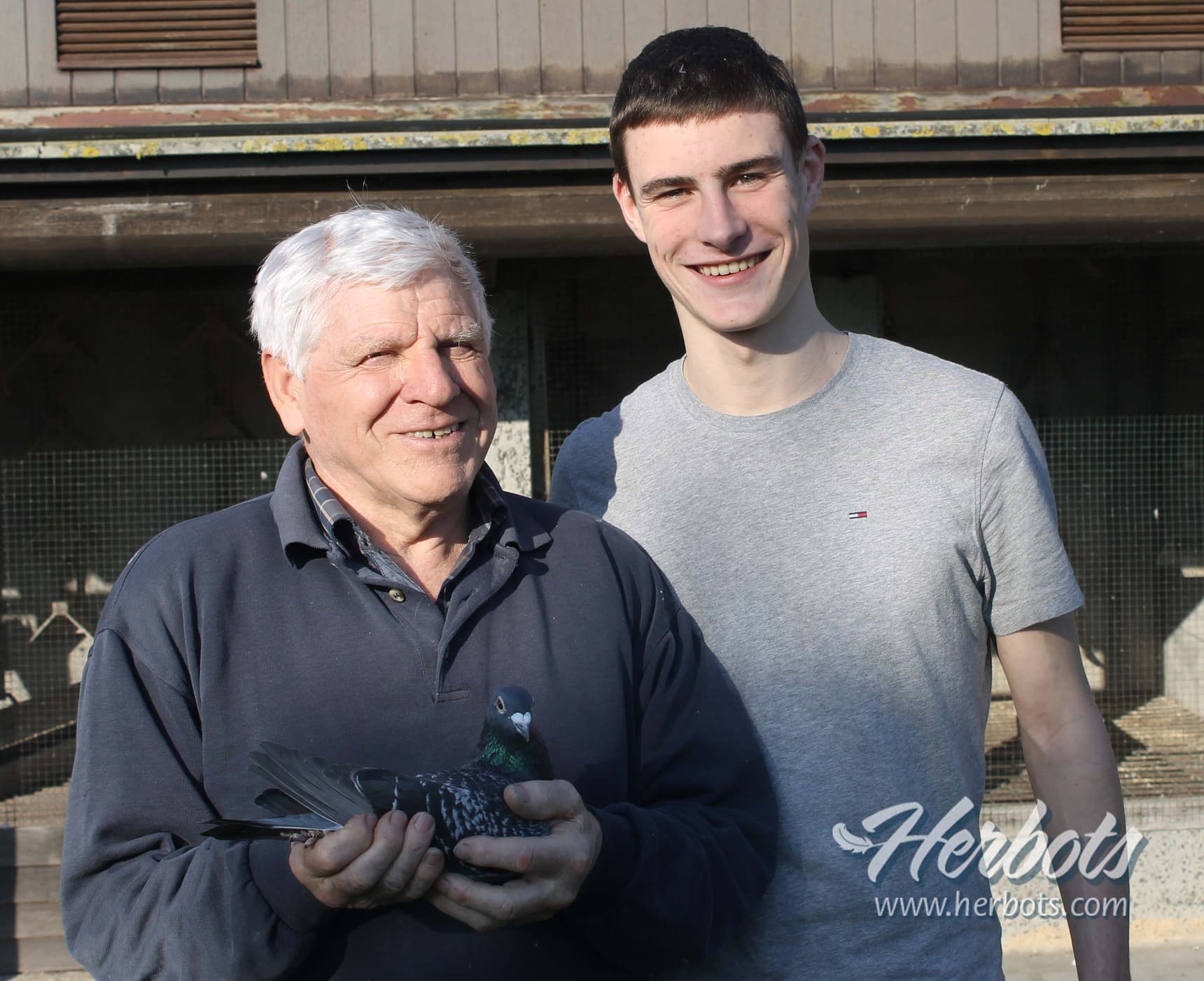 Noël De Clercq (Mater-Oudenaarde) bezit met Olympic 005  1e Olympiade België fond en 2e asduif zware fond K.B.D.B.