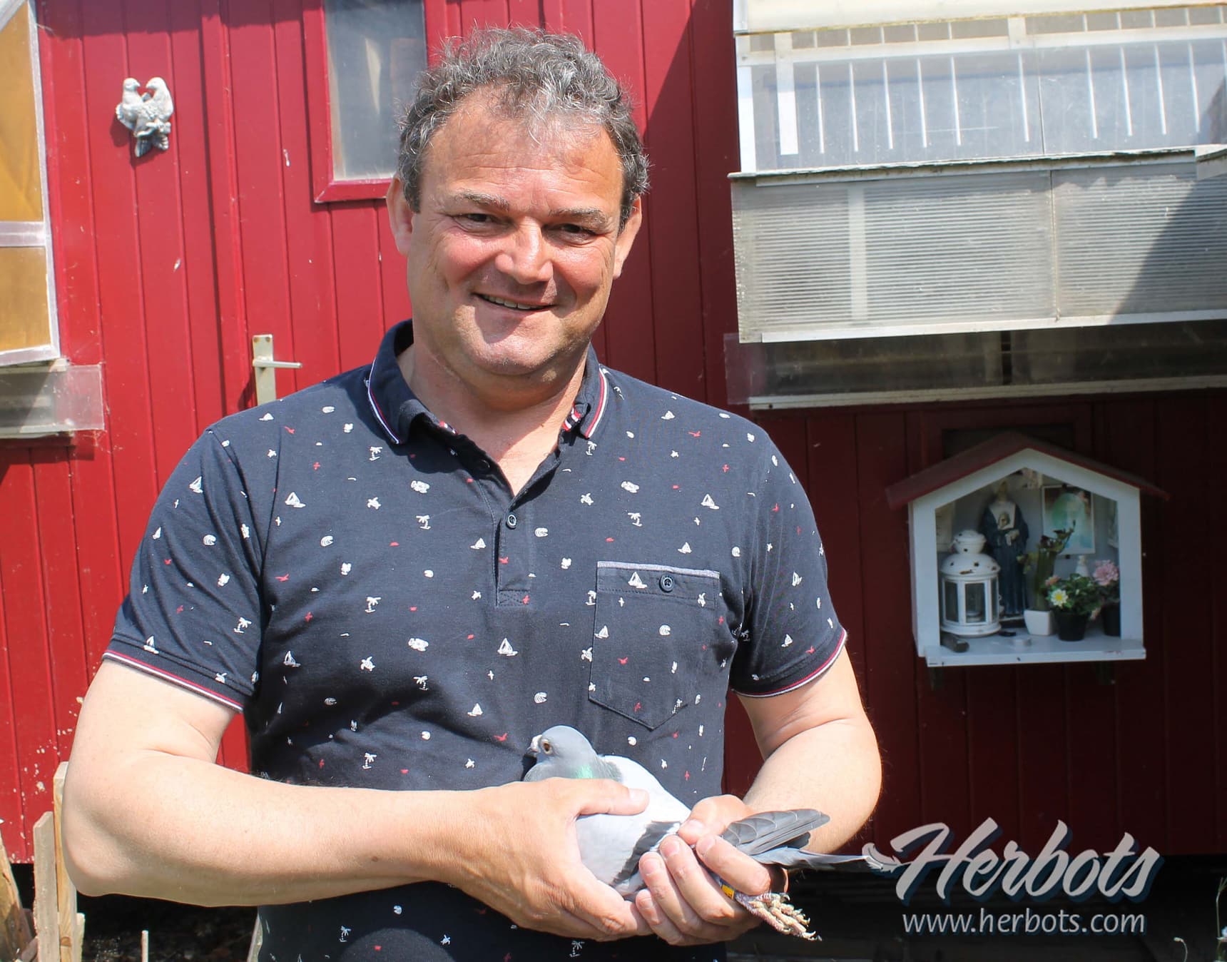 莱昂&杨·诺布斯荣获：利蒙治全国老鸽组10381羽1名