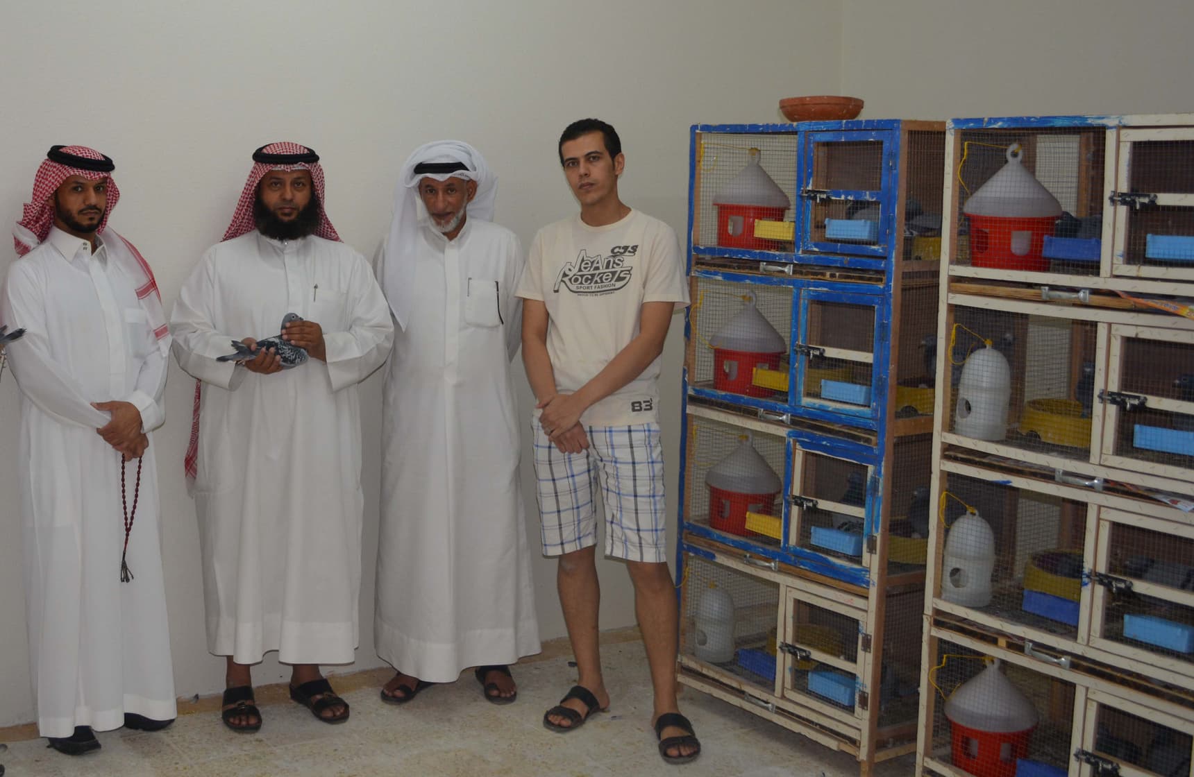 Result Herbots Pigeons In Saudi Arabia & Egypt Breed By Shady Mohammed