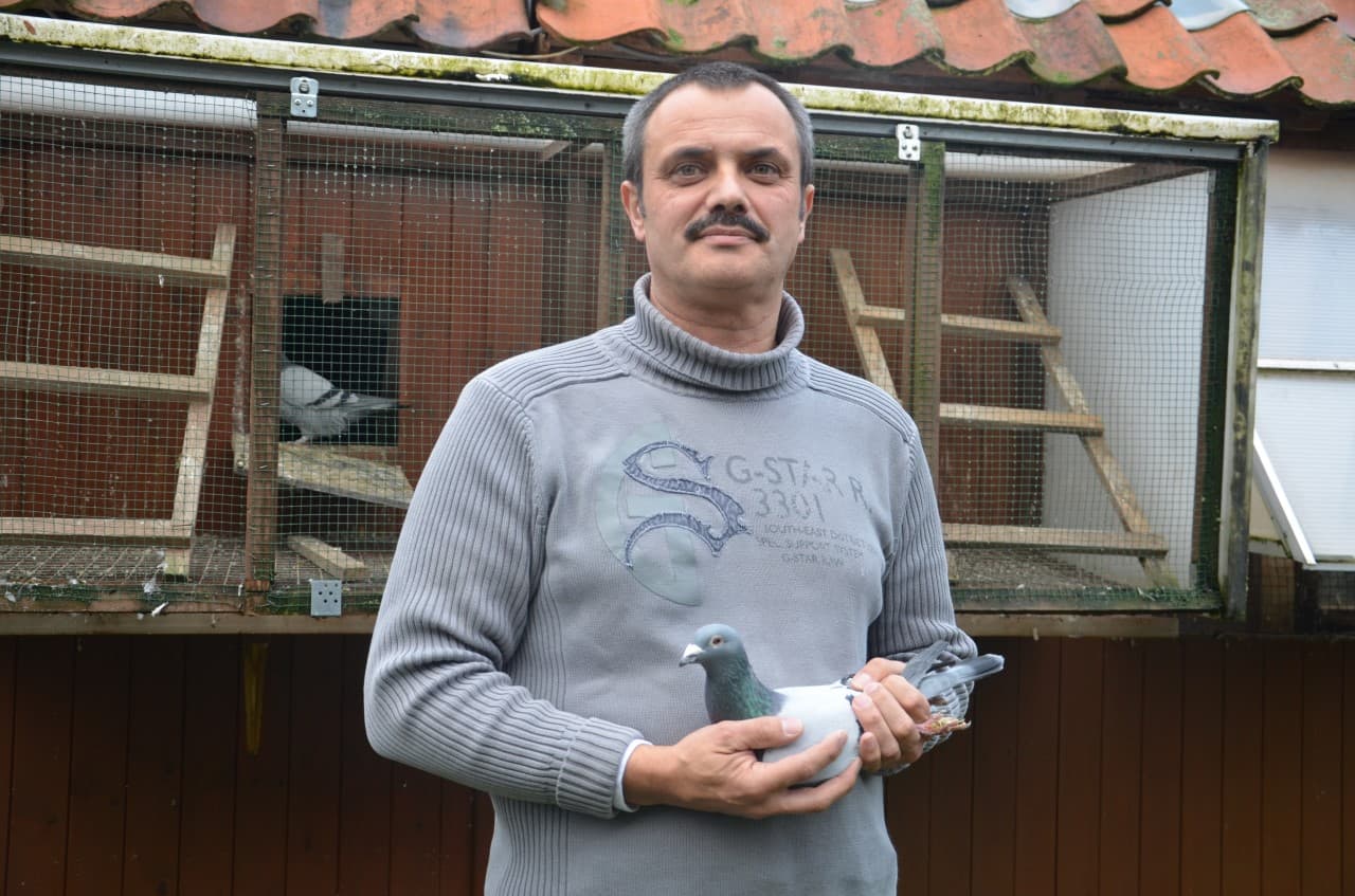 De zo succesvolle “Sagan” kweeklijn van Patrick Boeckx