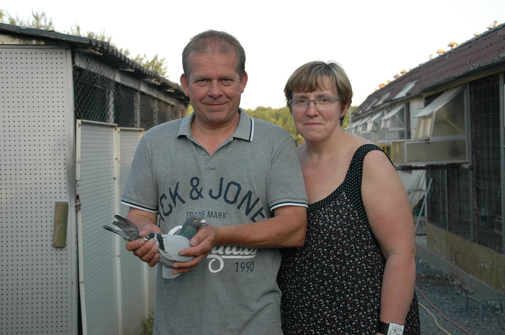 古森斯-杜鲁瓦特成绩鸽拍卖会