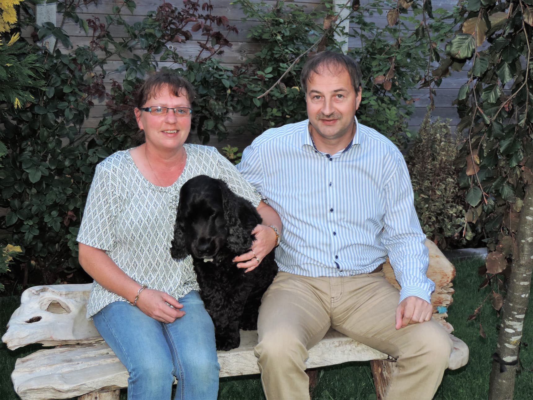 阿拉梅斯-凡派瑞斯（Allemeersch-Van Parys）成绩鸽