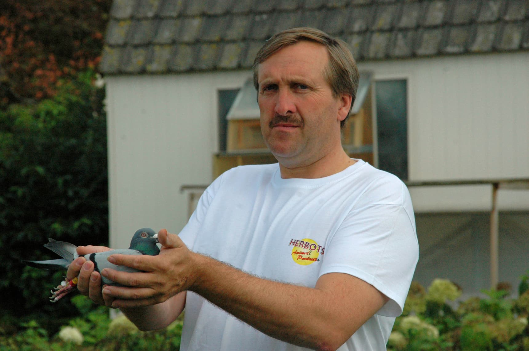 乔.鲍特斯拍卖会第一部分