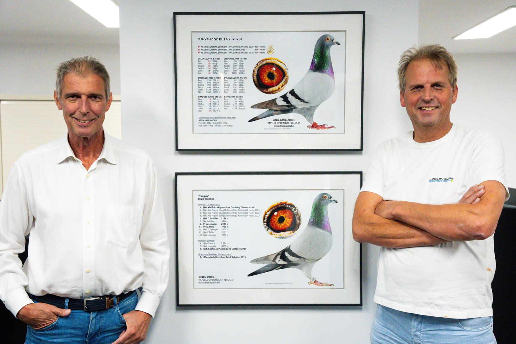 Pigeon Bids Desbuquois Gebroeders