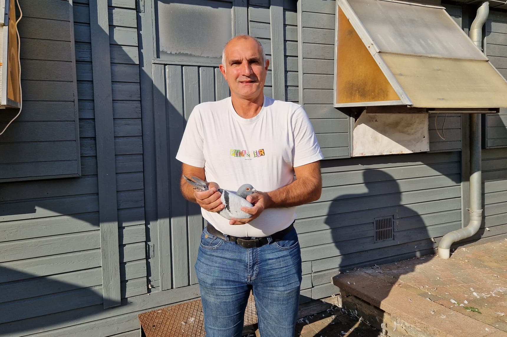 Pigeon Bids Esmanne E.-Defert T. - Part 1