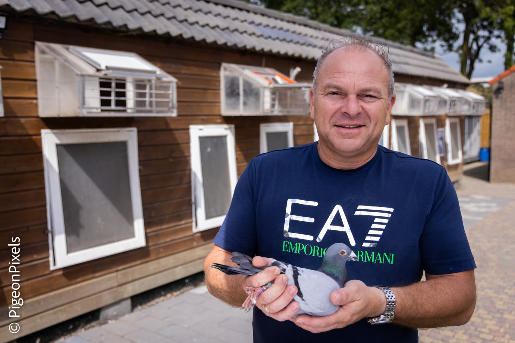 Pigeon Bids Danny de Voogd