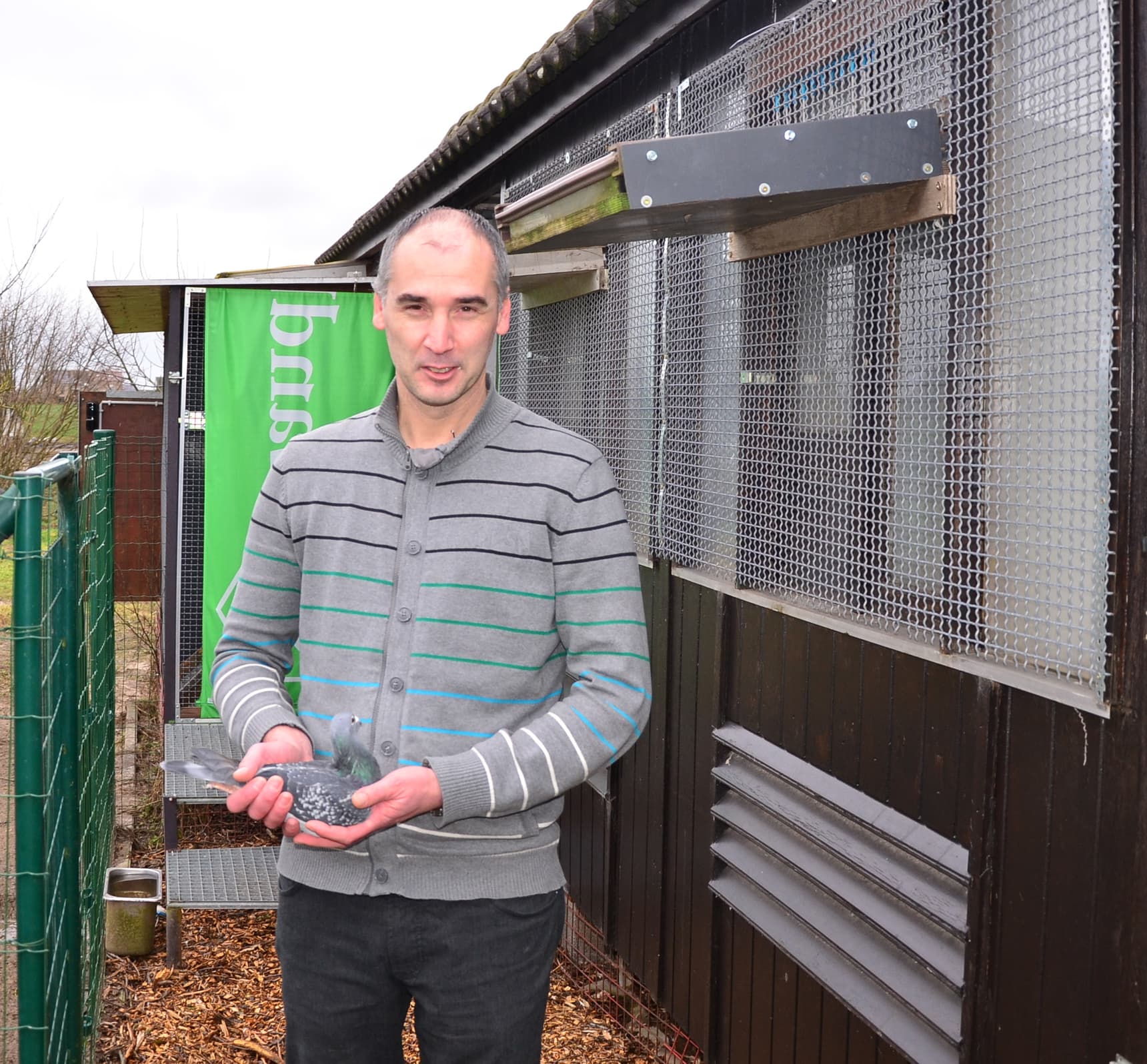 吉尔特.范路易网络限时拍卖会