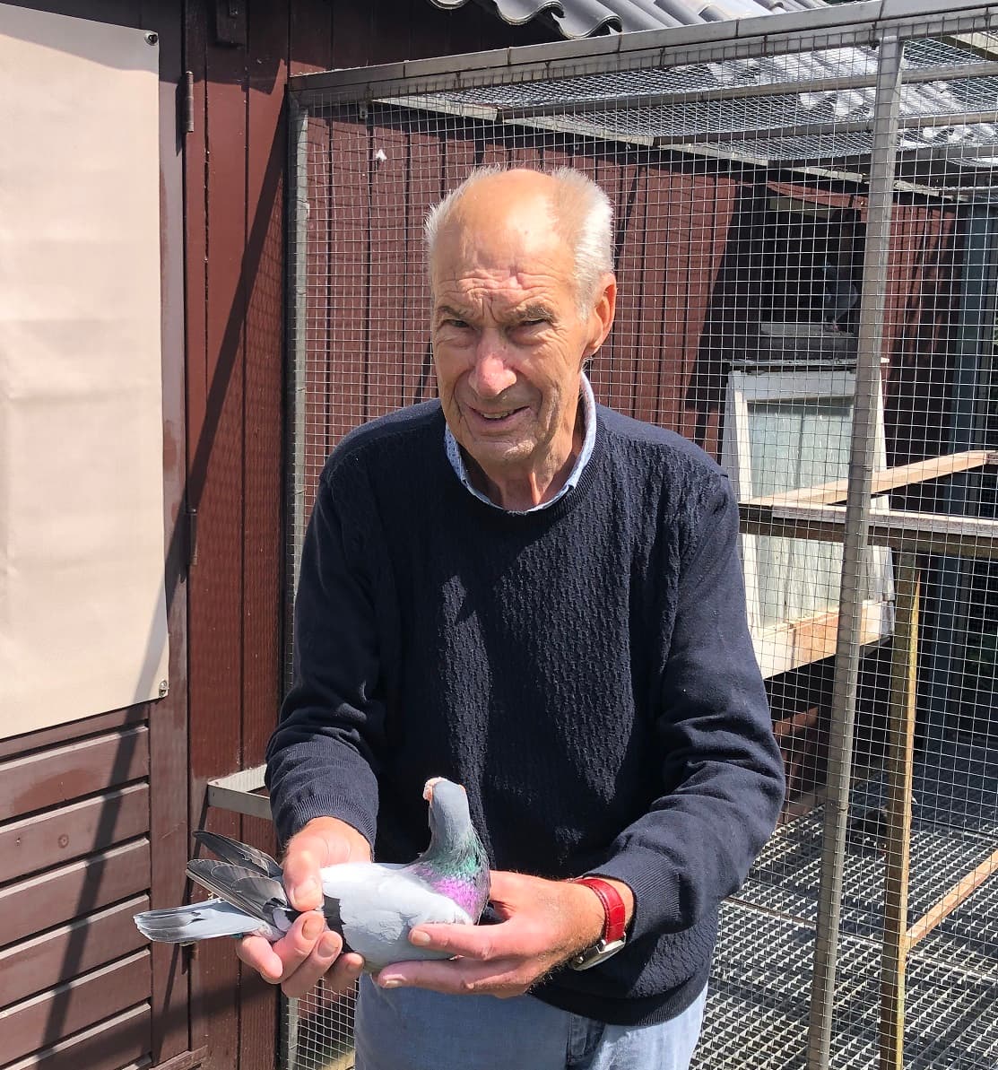 Pigeon Bids Totale verkoop Ben Hendriks (NL) Deel 3