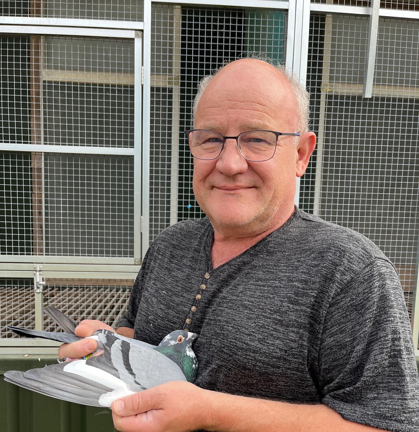 Pigeon Bids Hermans Huub January 2026