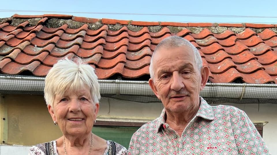 Johny & Magda Jonckers from Linter continue to maintain their extremely strong lineage