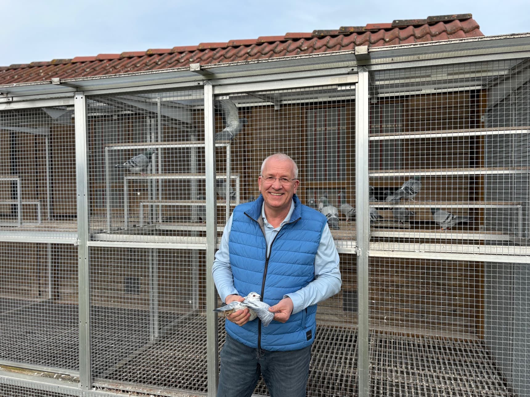 Pigeon Bids 100% Van Gaver Tom & Marnik