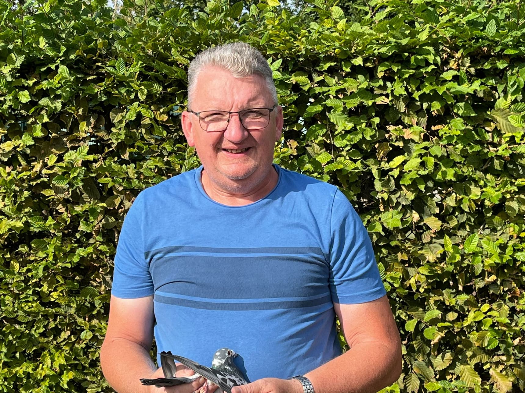 Pigeon Bids Medart Marc