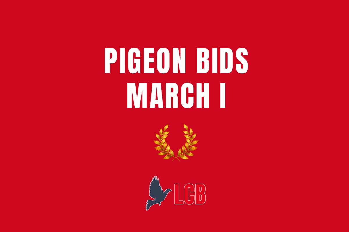 Pigeon Bids March I