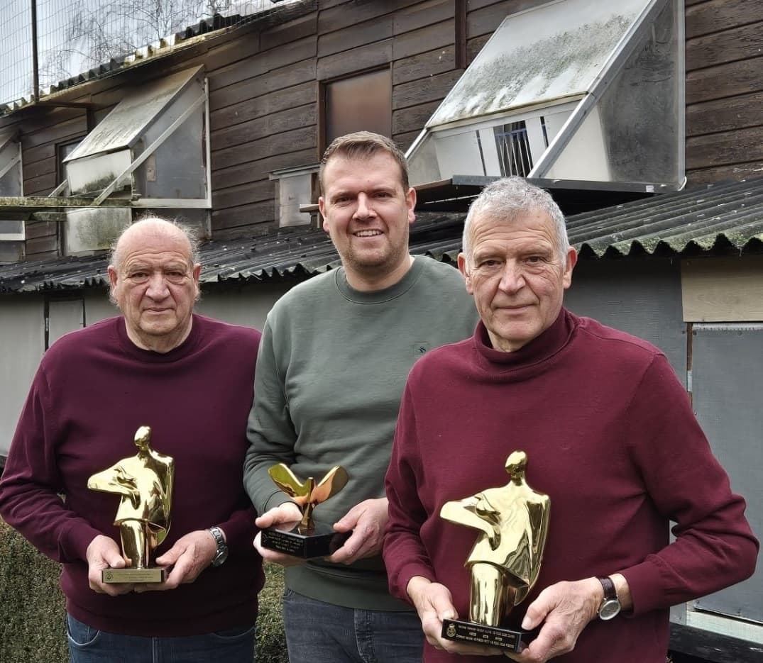 Pigeon Bids Raets Gebr & Kenny