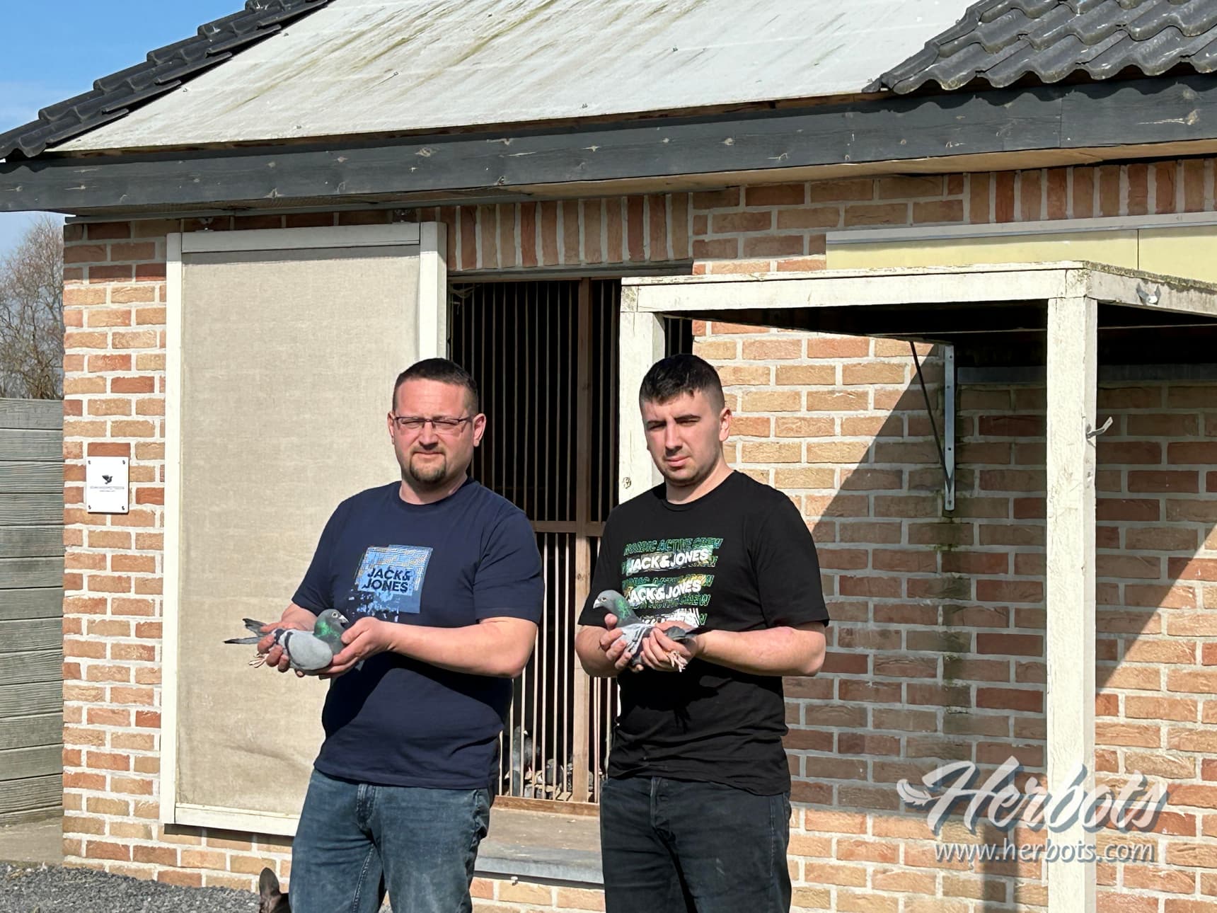 Pigeon Bids Saudoyez Kevin - 2025